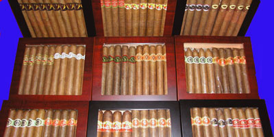 22 Ct. Super Samplers